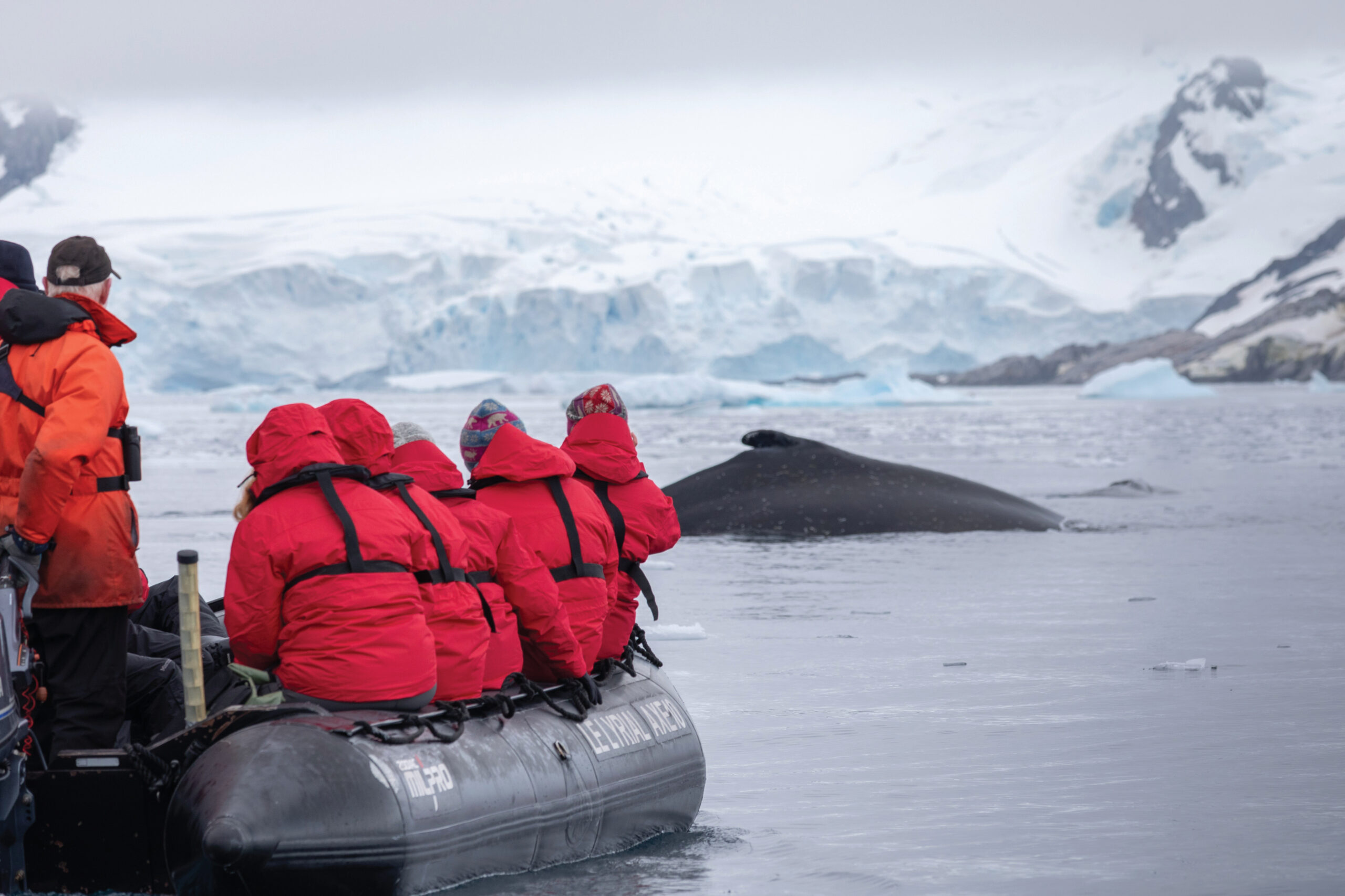Antarctica