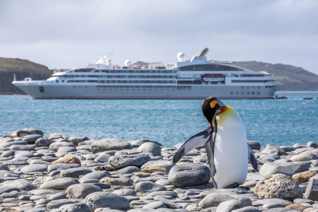 luxury cruises in front of penguin