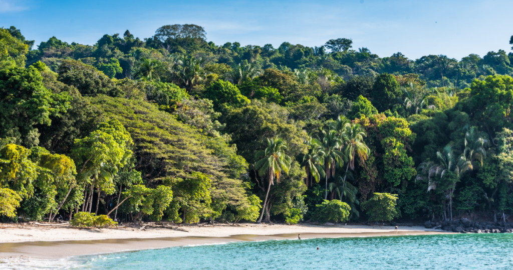A lush green tropical forest slopes down to a sandy beach and turquoise water under a bright blue sky.