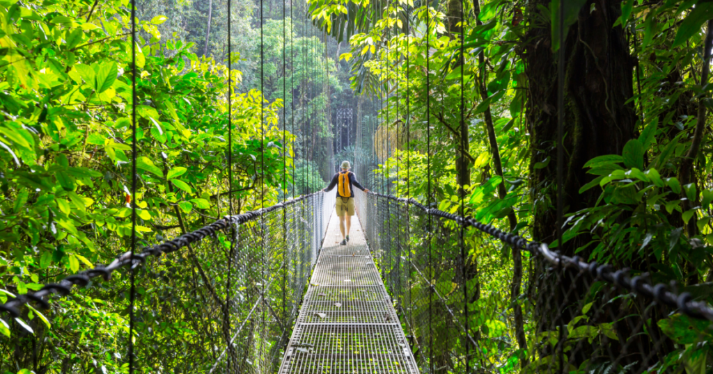 A person walks across a suspension bridge through a lush, green rainforest canopy.